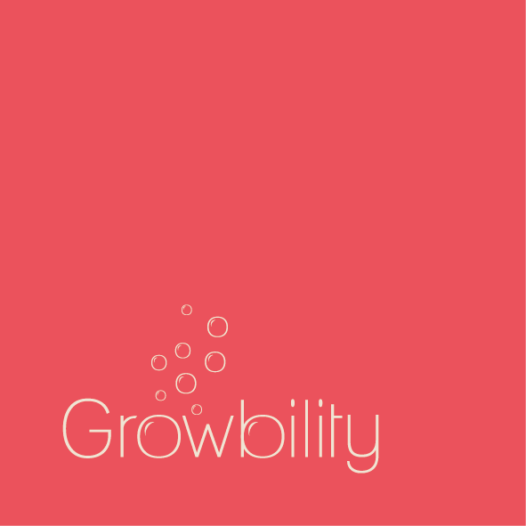 Growbility - Make your Buisiness grow.